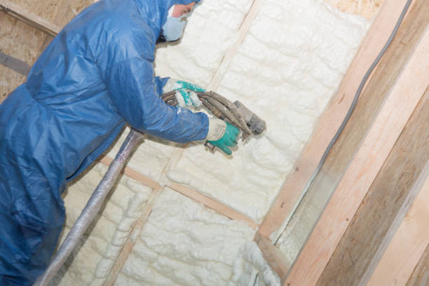 Best Eco-Friendly or Green Insulation Solutions  in Mount Pocono, PA